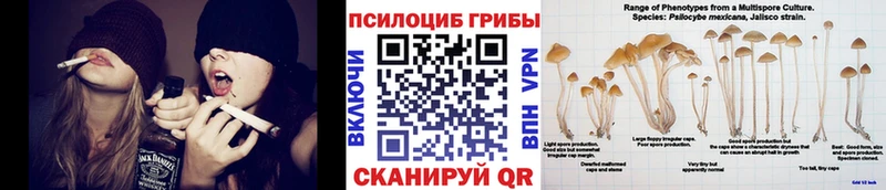 Псилоцибиновые грибы MAGIC MUSHROOMS  Осинники 